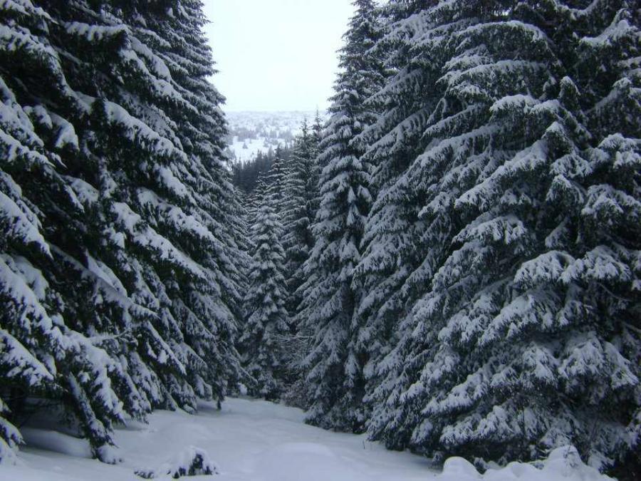 Semmering hótalpas túra