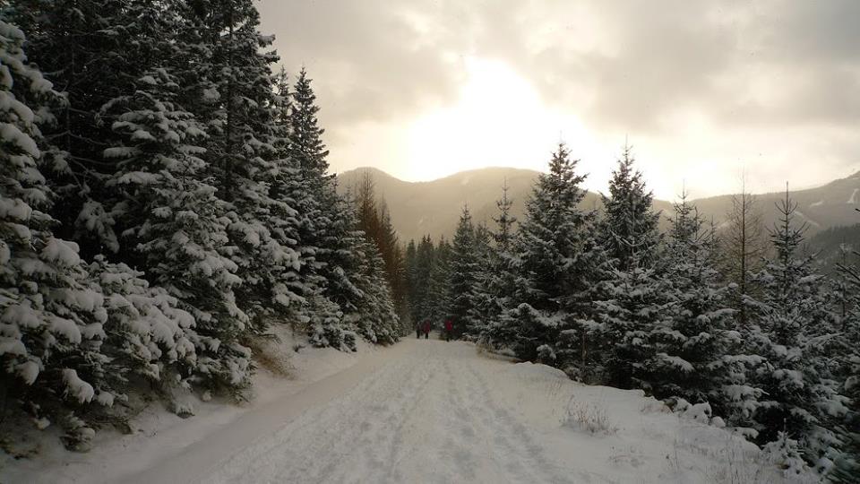 Semmering hótalpas túra