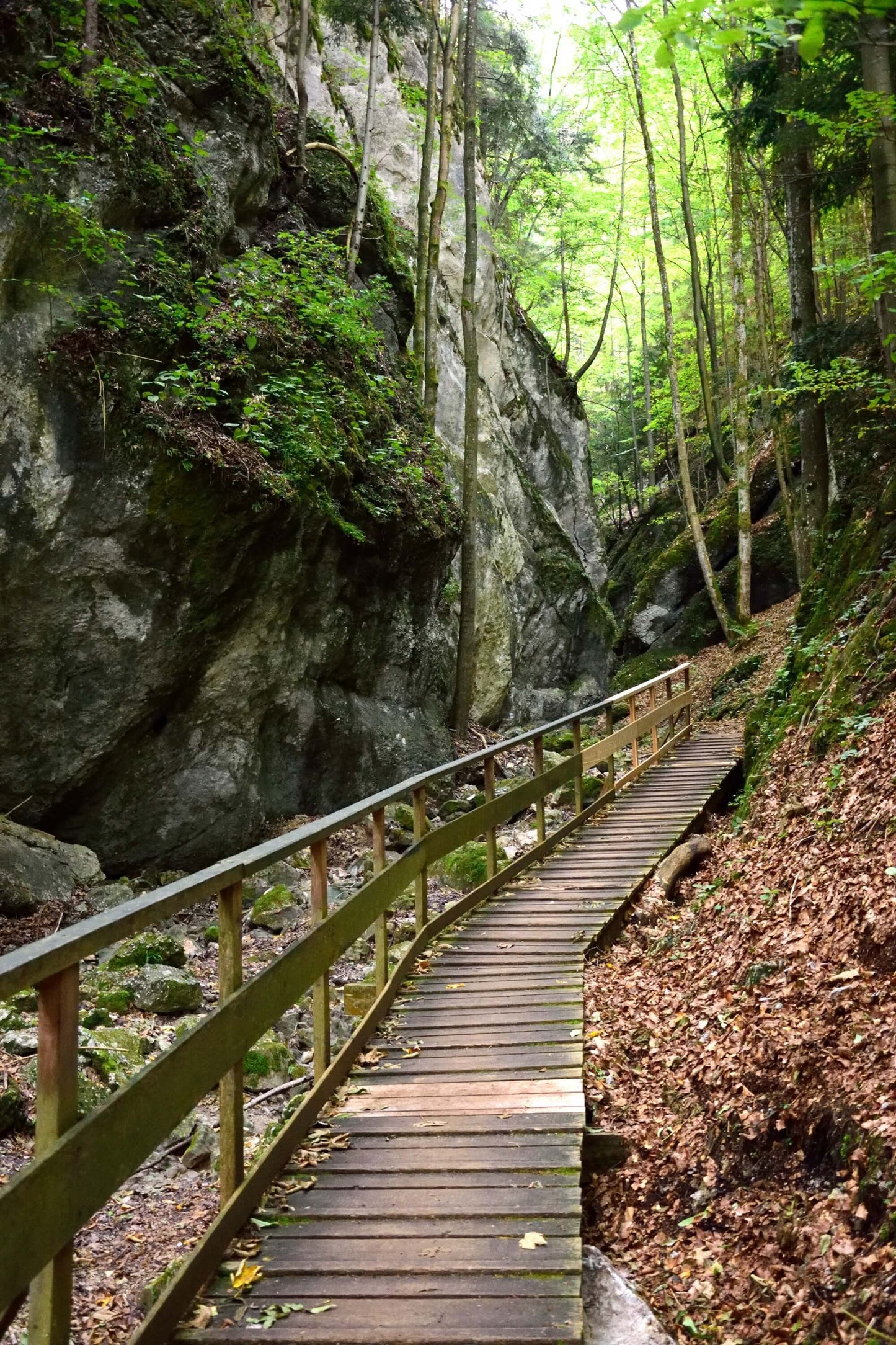 Myrafalle vízesés és Kőfal kanyon egynapos bakancsos túra