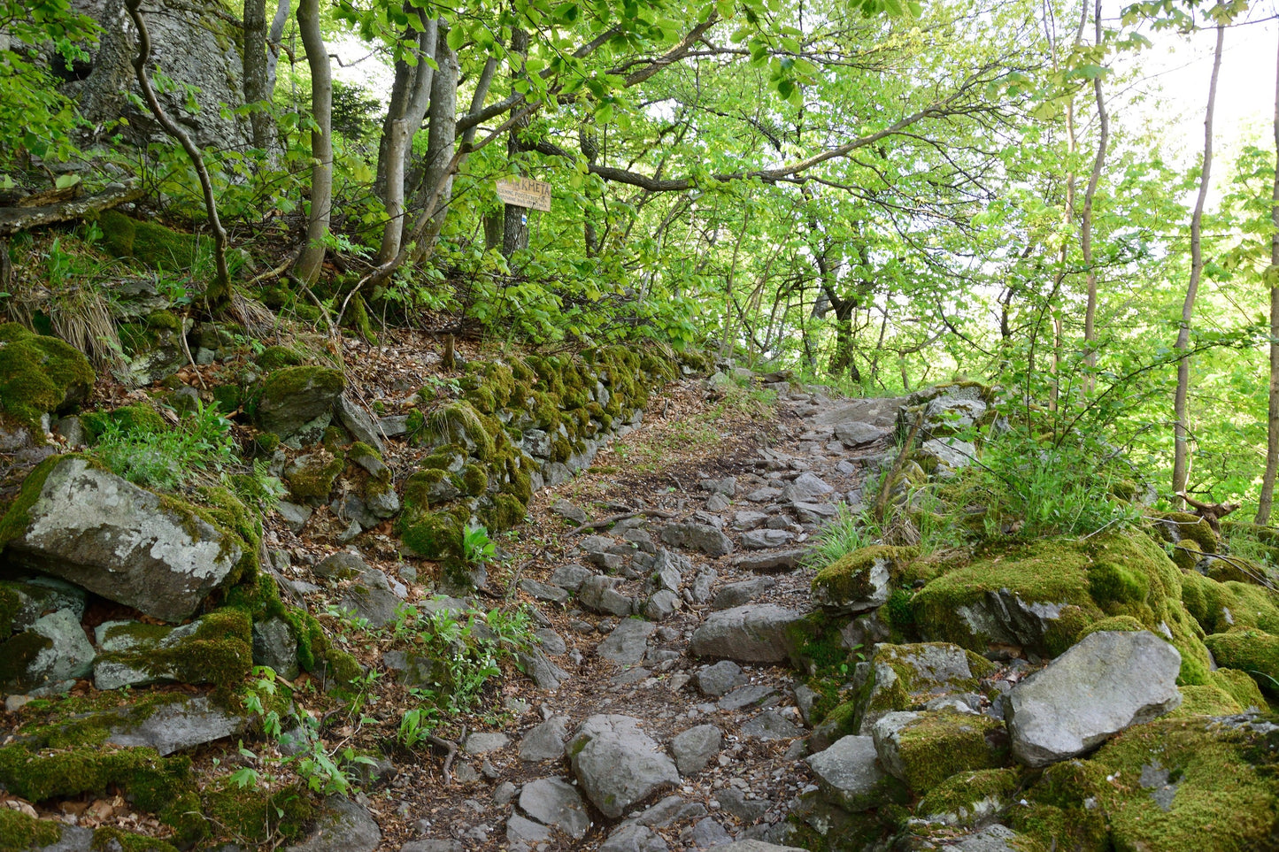 Selmeci-hegység bakancsos túra