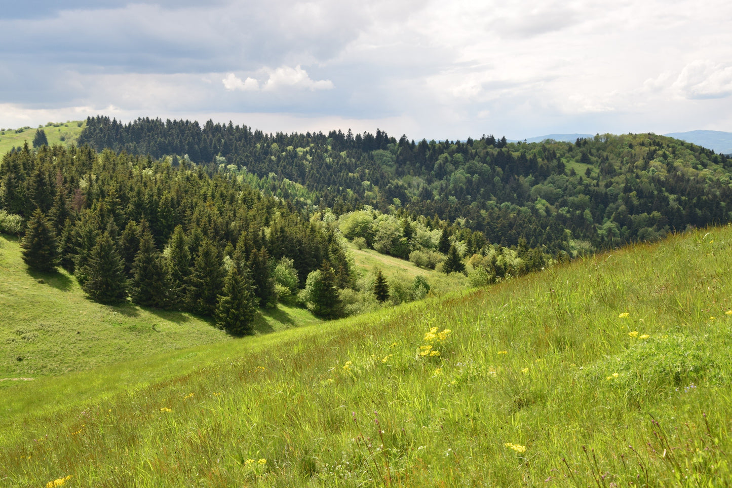 Selmeci-hegység bakancsos túra