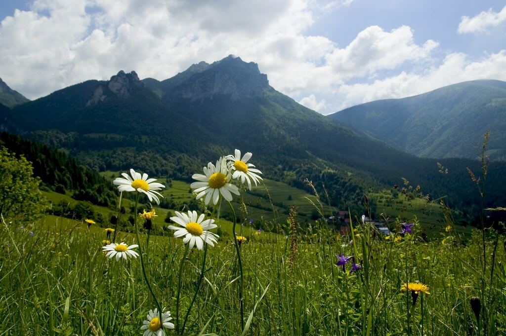 Kis-Fátra bakancsos túra