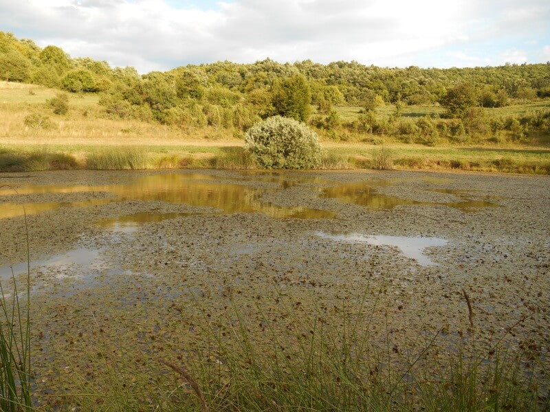 Baradla-barlang túra