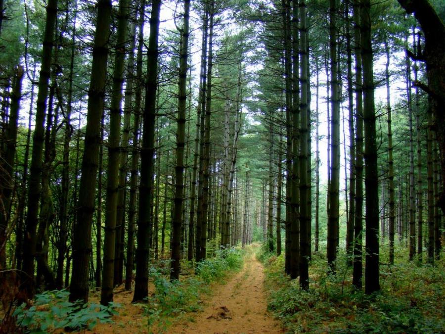 Jankovac (Horvátország) egynapos bakancsos túra