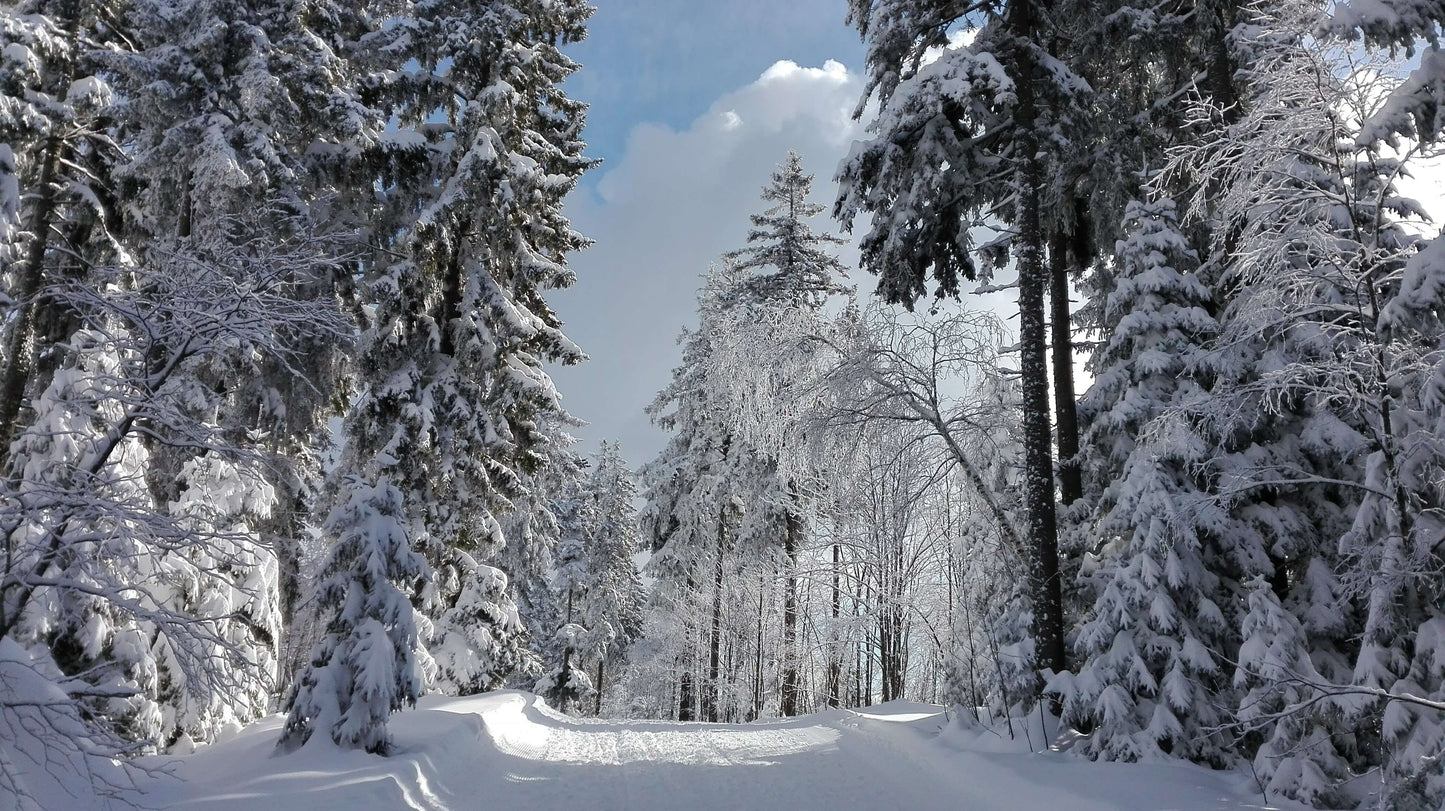 Szlovénia hótalpas túra Mariborban - ÚJDONSÁG!