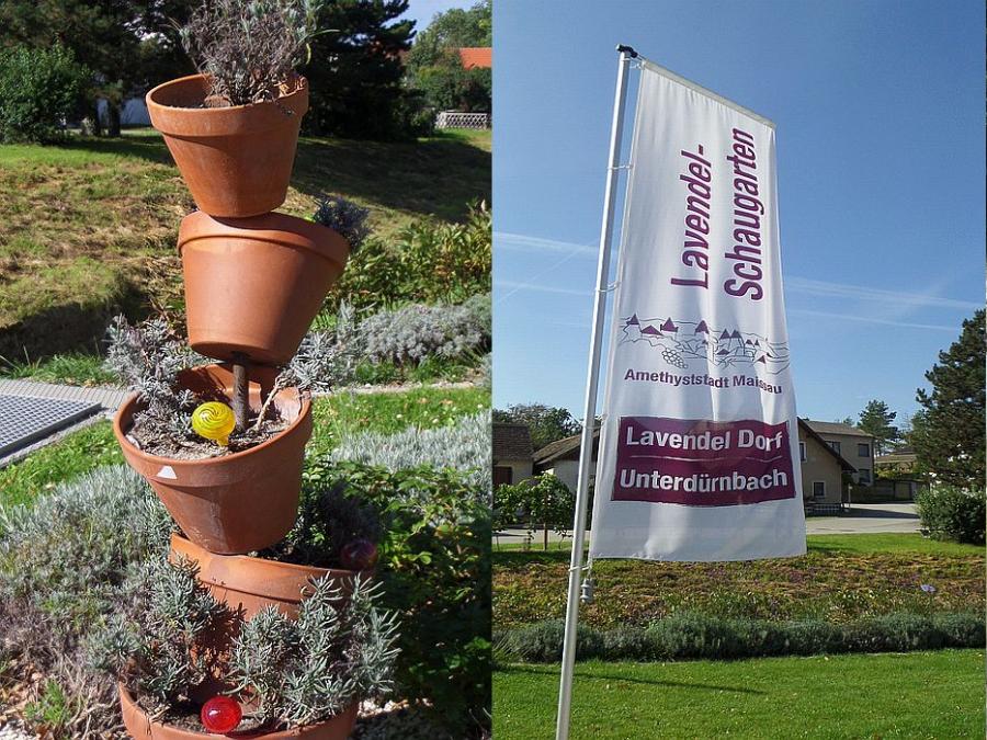Ametiszt és Levendula: egy lila nap Ausztriában