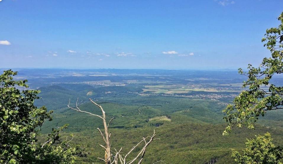 Magaslatról fotózva a zöld táj, egy két ág belelőg a képbe
