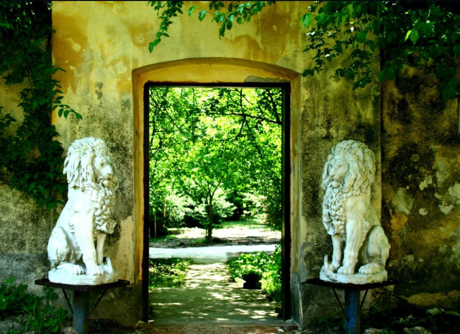 Bakony kincsei ebéddel