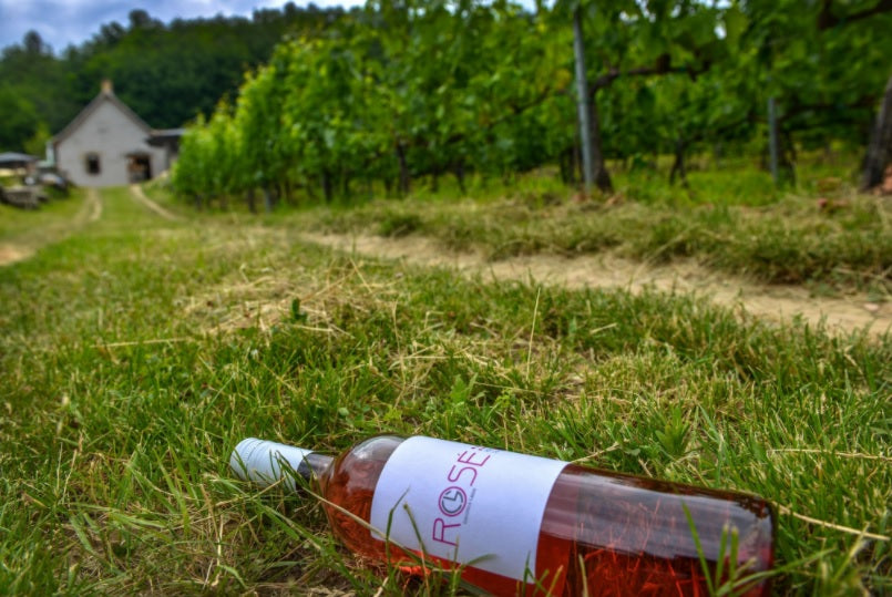 Szüreti hangulat a szekszárdi borvidéken Gemenci ártéri erdő kisvasút utazással