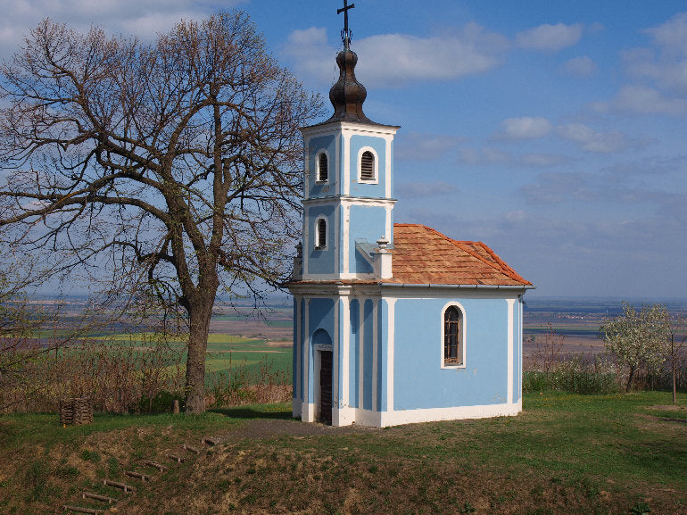 Szüreti hangulat a szekszárdi borvidéken Gemenci ártéri erdő kisvasút utazással