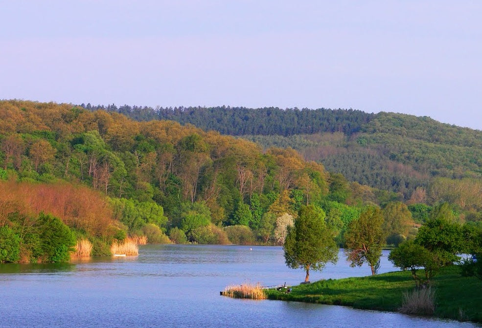 Szüreti hangulat a szekszárdi borvidéken Gemenci ártéri erdő kisvasút utazással