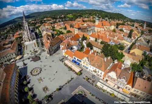 Jeli Arborétum és libalakoma: Szent Márton nyomában