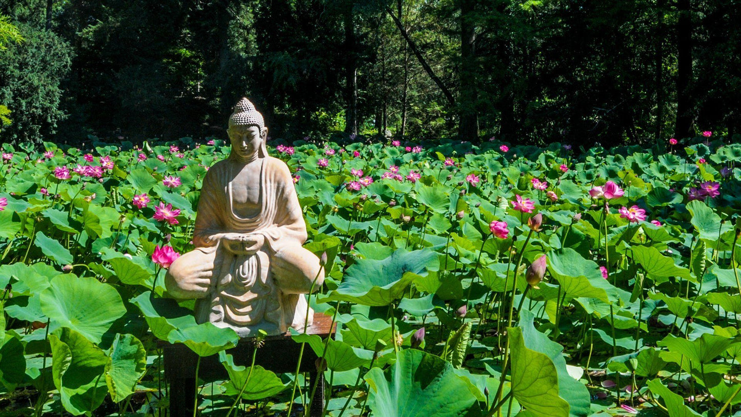Barangolás a halászlé és a fűszerpaprika városában