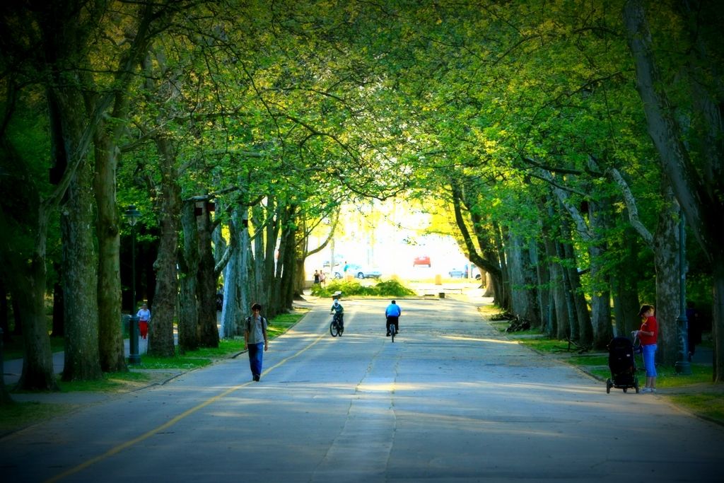 Barangolás a halászlé és a fűszerpaprika városában