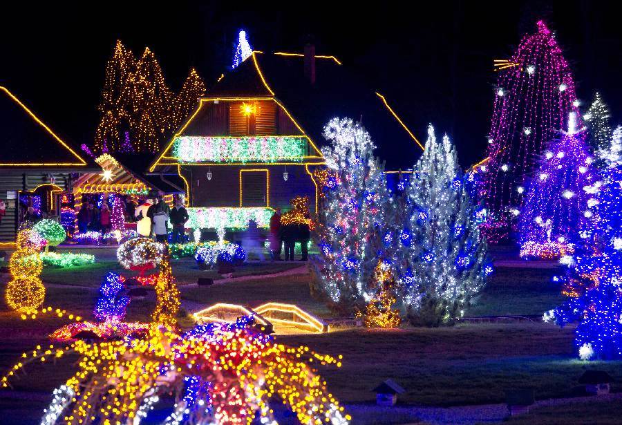 feldíszített fenyők és bokrok Zágrábban este