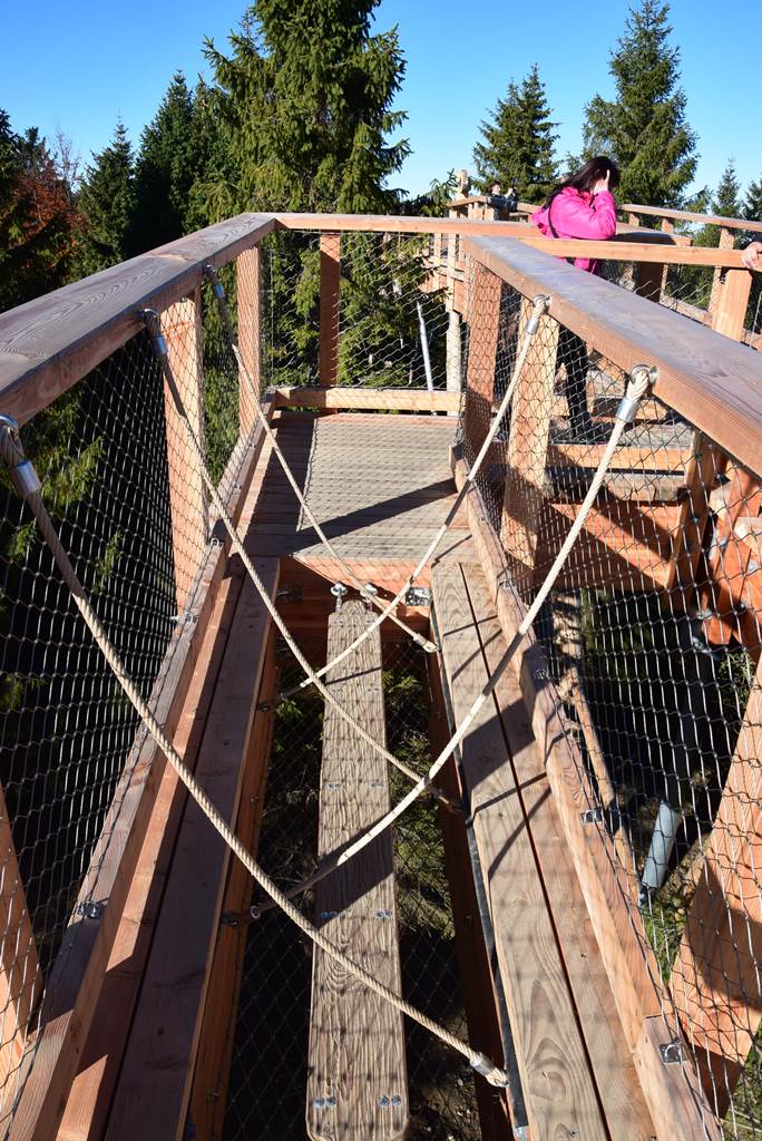 szlovákiai lombkorona-séány tetejéről