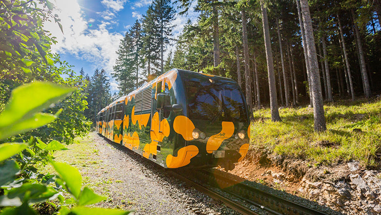 Schneeberg - Szalamandra vasúttal a felhők felett