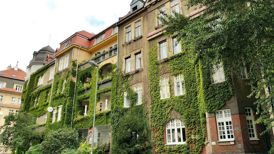 Pozsonyi kirándulás, Schloss Hof és csokigyár látogatás