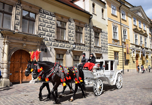 Wieliczka és Auschwitz (4 nap/3 éj)