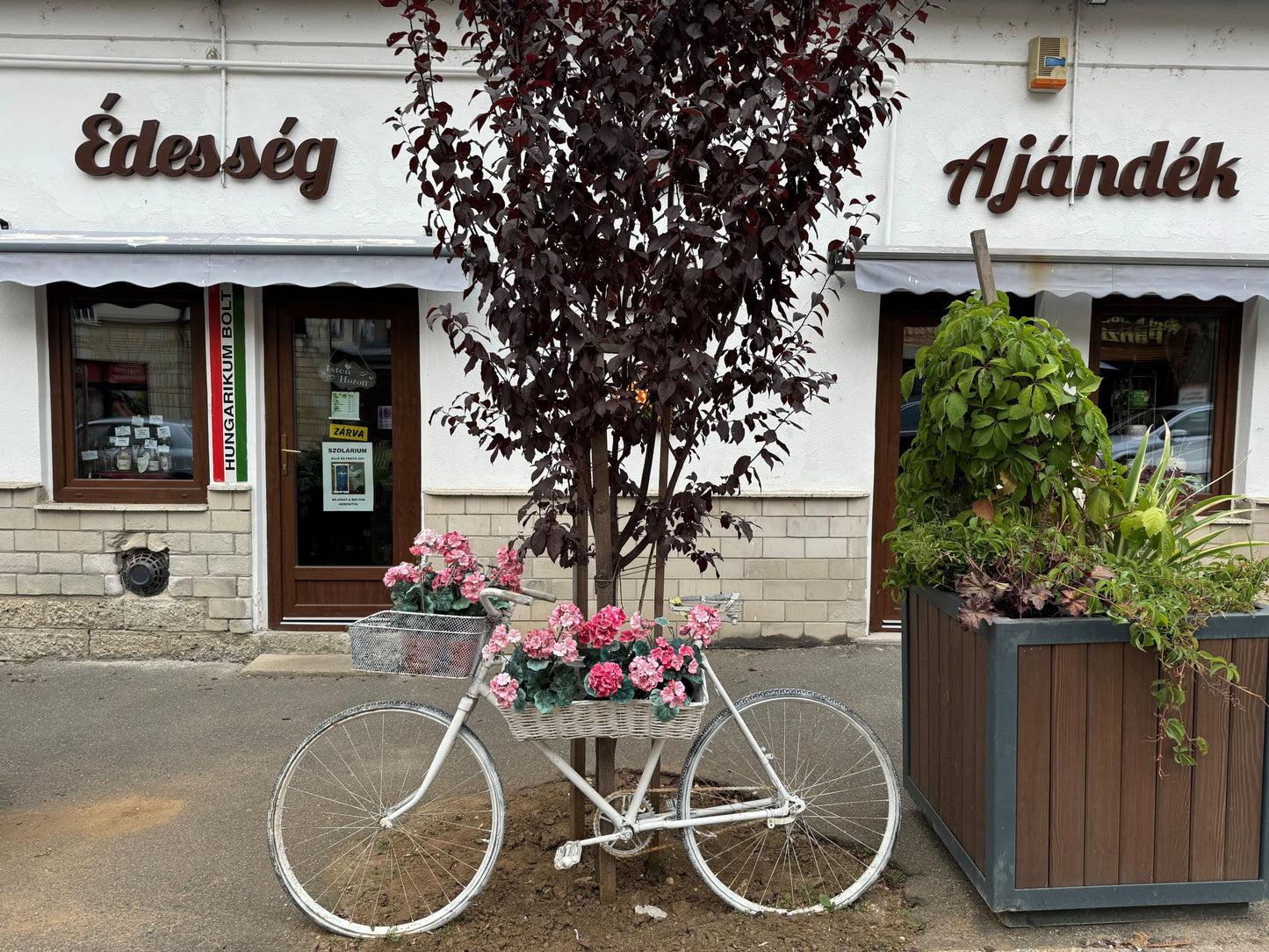A Füzérradványi kastély és Tokaj városa