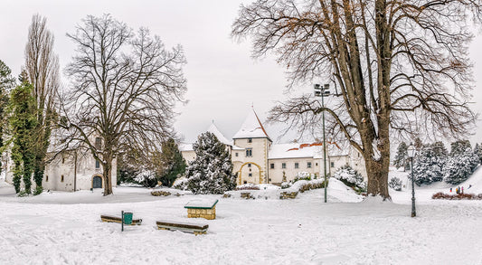 Karnevál Rijekában és Busójárás