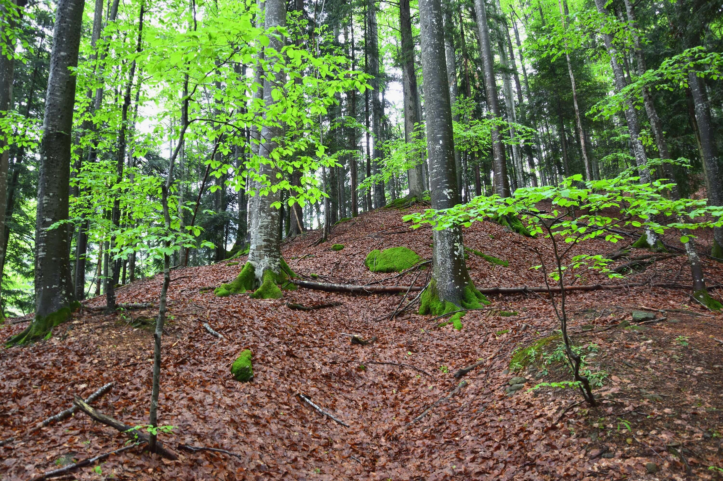 Szlovén paradicsom bakancsos túra