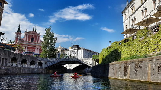 Alpok gyöngyszeme tulipánvirágzáskor - Szlovénia