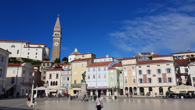 Alpok gyöngyszeme tulipánvirágzáskor - Szlovénia