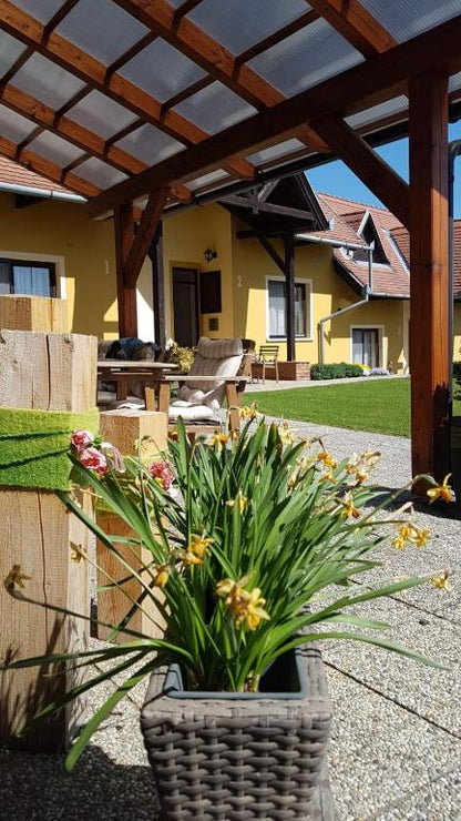 Digitális Detox tábor