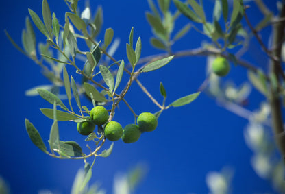 Nyári Pilates Élménytábor a Szlovén Riviérán