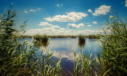 Digitális Detox tábor