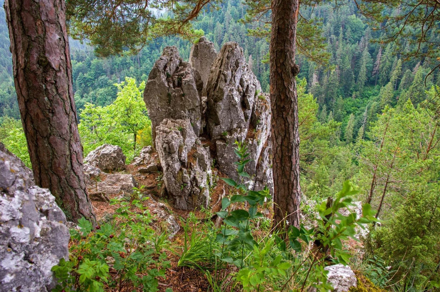 Szlovák Paradicsom Nemzeti Park egynapos bakancsos túra