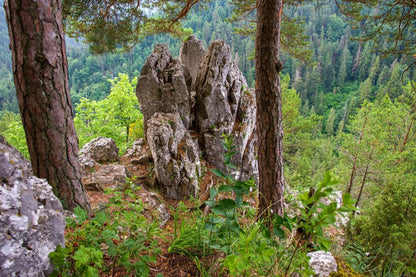 Szlovák Paradicsom Nemzeti Park egynapos bakancsos túra