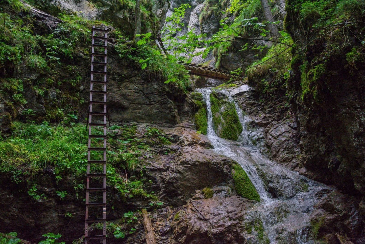 Szlovák Paradicsom Nemzeti Park egynapos bakancsos túra